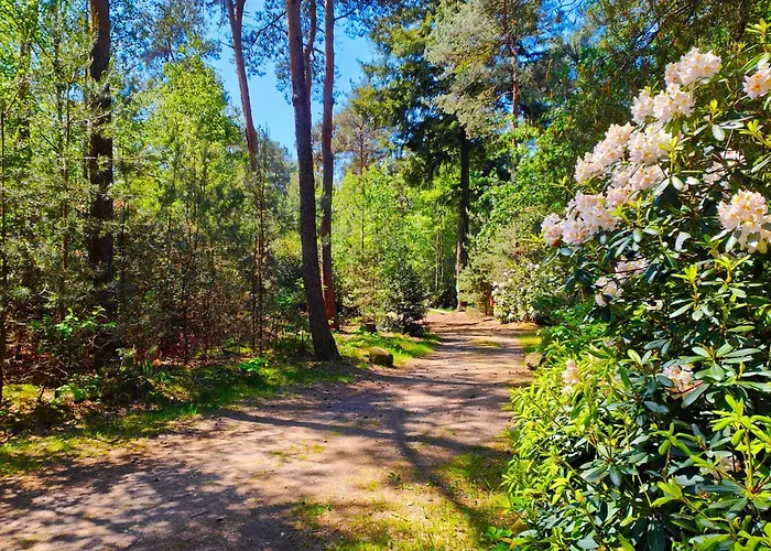 Glamping In Nature By Outdoors